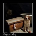 lafay R